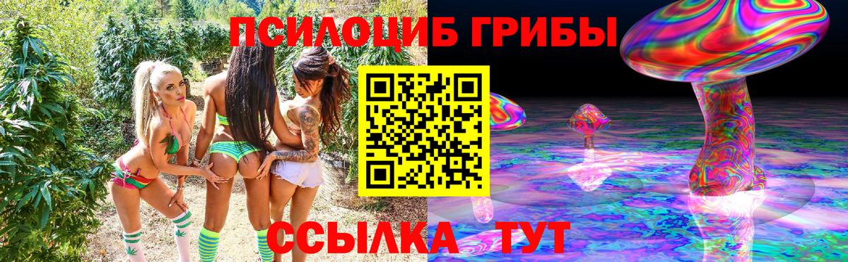Сатка  Галлюциногенные грибы прущие грибы  Вход с VPN  Псилоцибиновые грибы мухоморы 