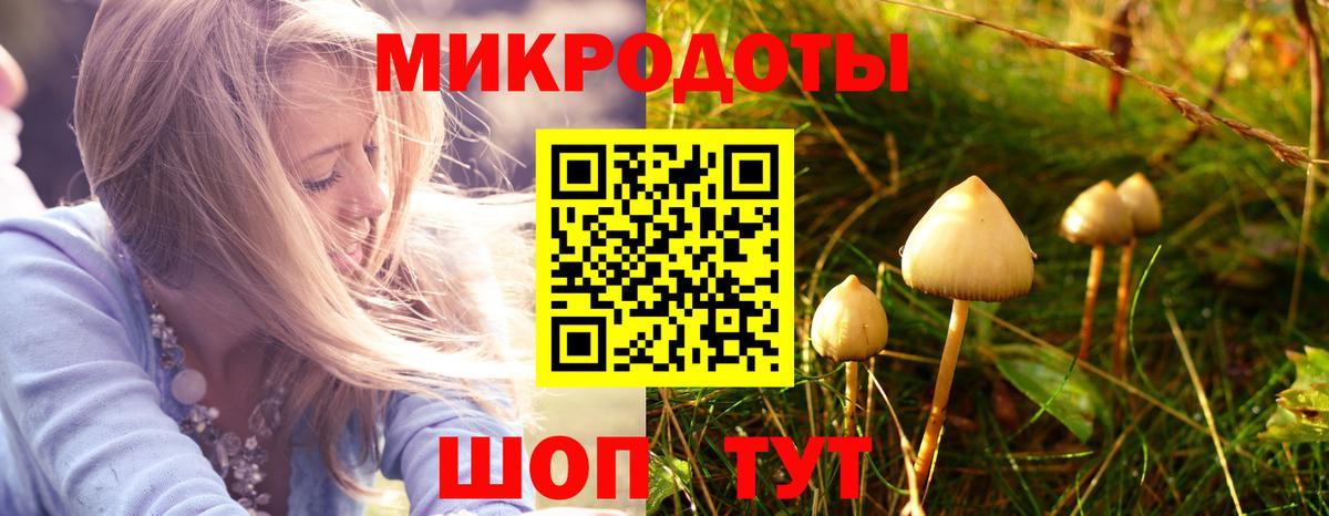A PVP Сатка